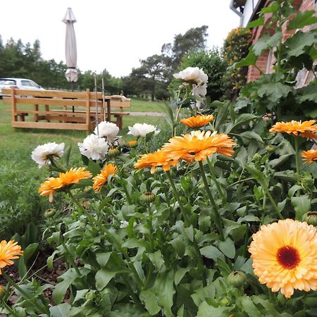 Apartmán Gdzie Diabel Mowi Dobranoc Pisz Exteriér fotografie